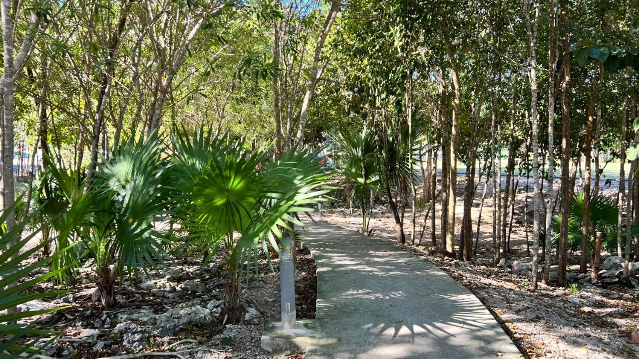 Kingulingu'S Cancun Apartament 외부 사진